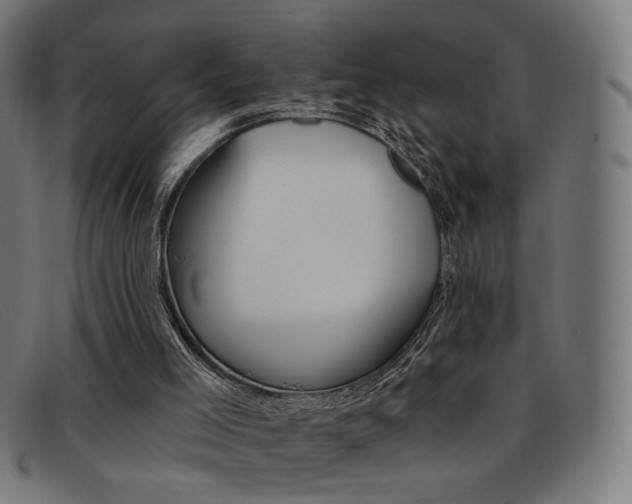 X0000092110005200709121138