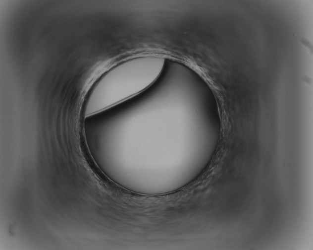 X0000092110007200709121138