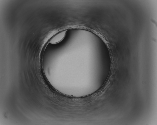 X0000092110008200709121138