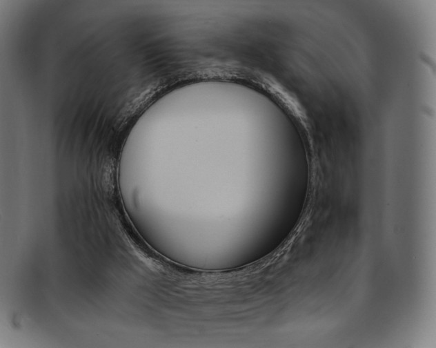 X0000092110009200709121138