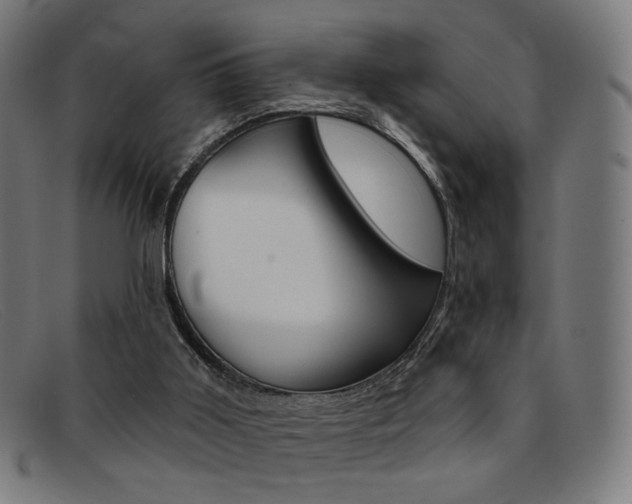X0000092110011200709121138