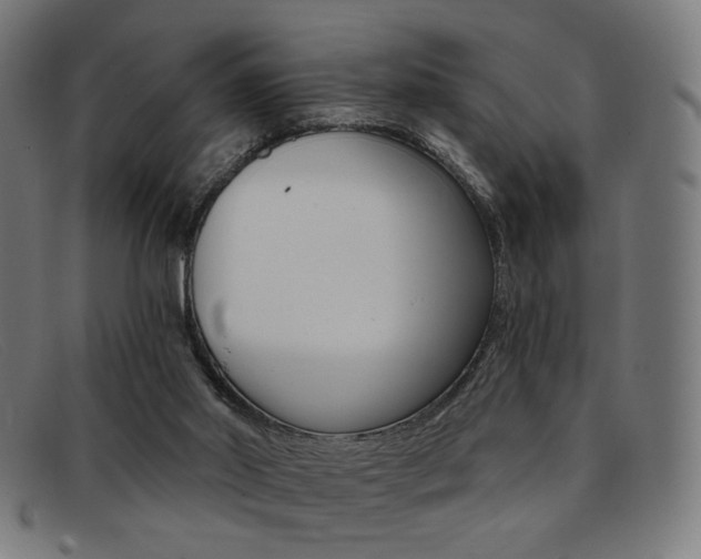 X0000092110014200709121138