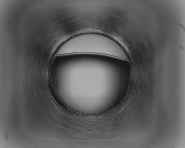 X0000092110015200709121138