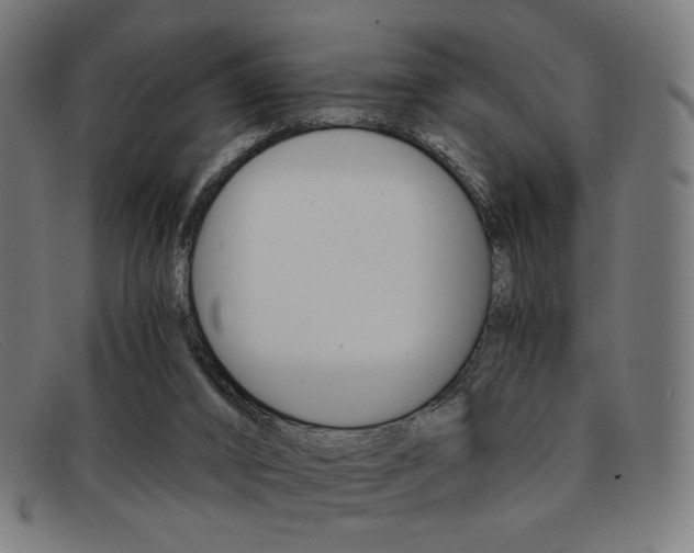 X0000092110016200709121138