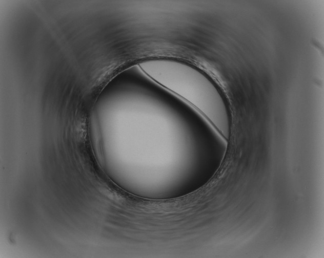 X0000092110017200709121138