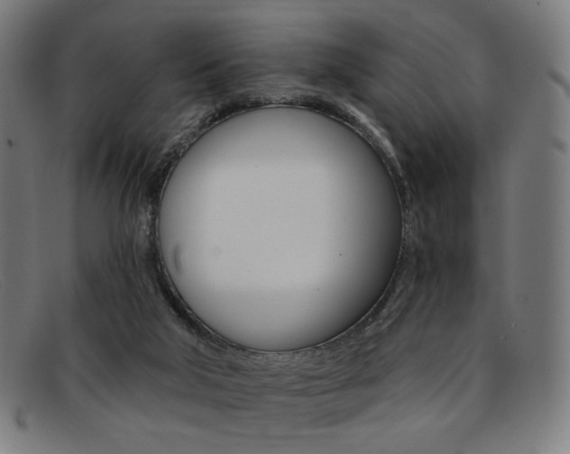 X0000092110018200709121138