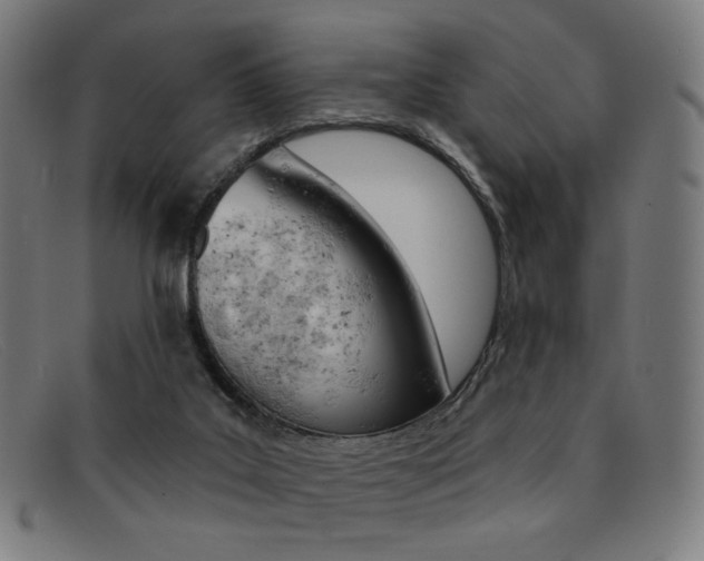 X0000092110019200709121138