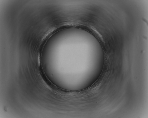 X0000092110020200709121138