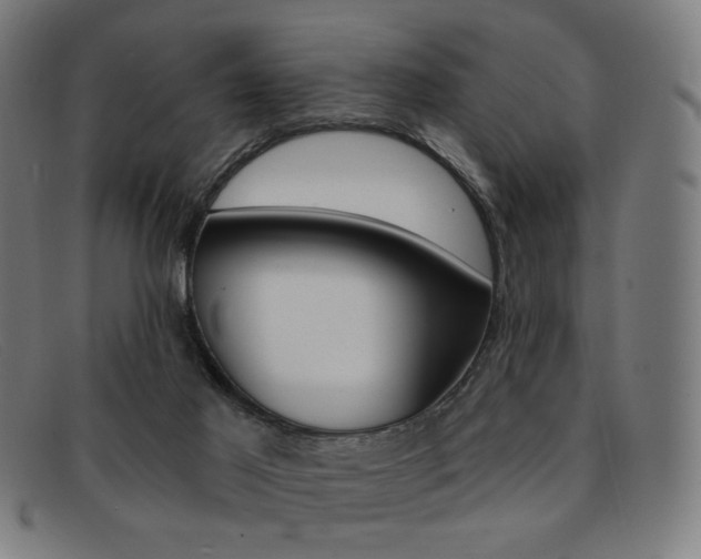 X0000092110021200709121138