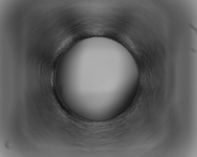 X0000092110023200709121138