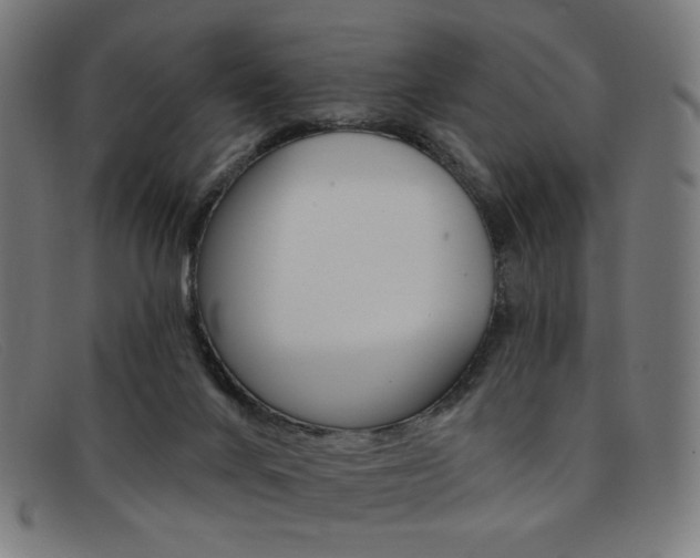 X0000092110024200709121138