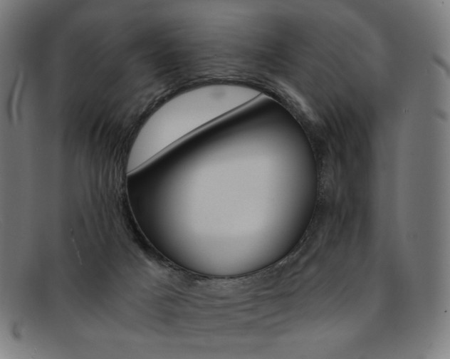X0000092110025200709121138