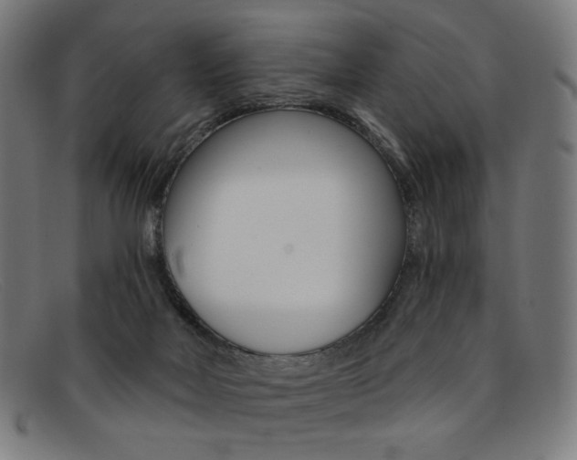X0000092110026200709121138