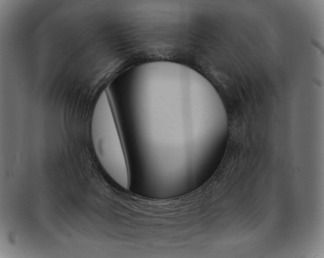 X0000092110027200709121138