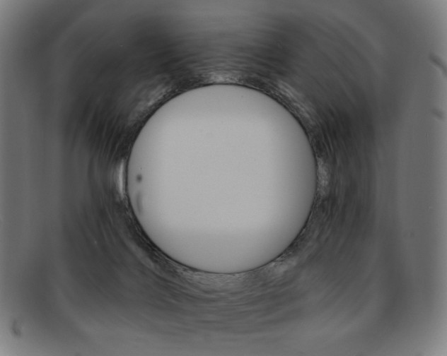 X0000092110028200709121138