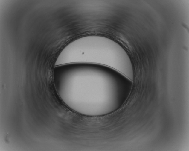 X0000092110029200709121138