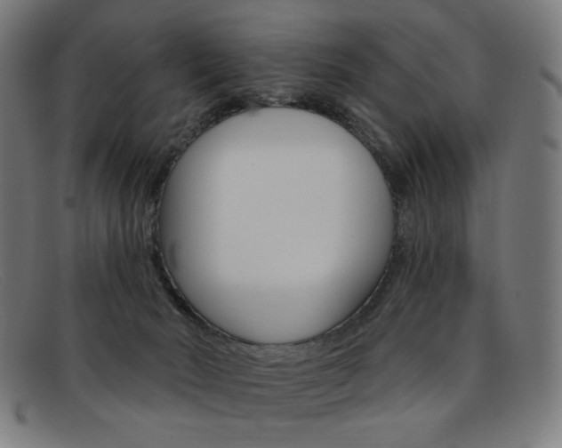 X0000092110030200709121138