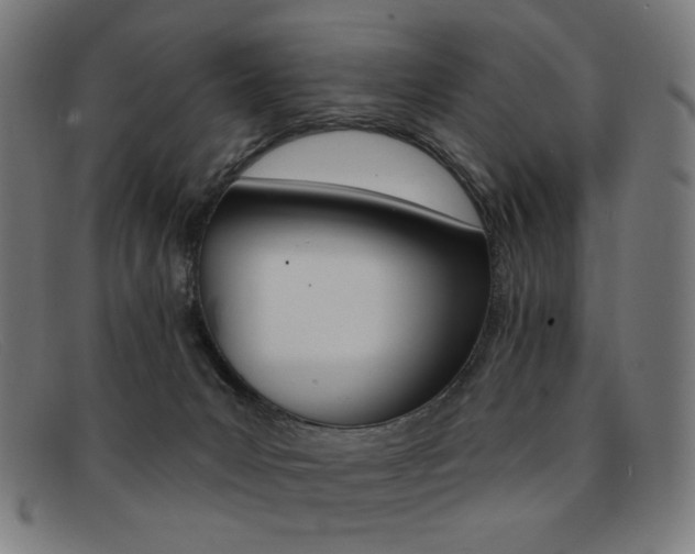 X0000092110031200709121138