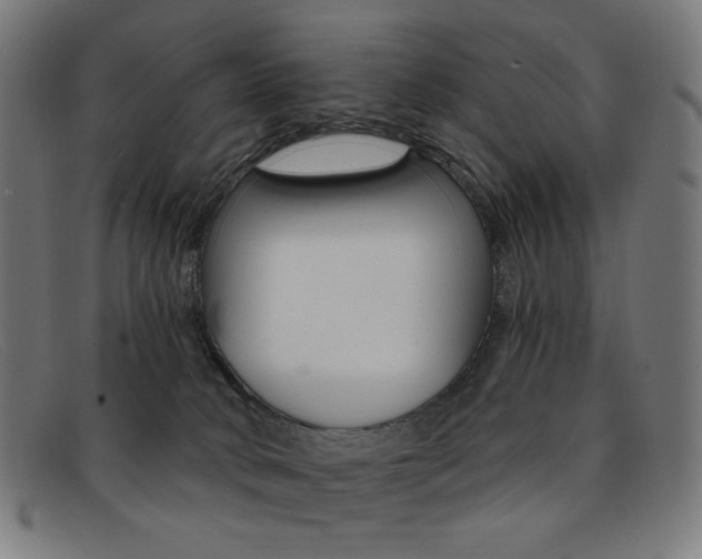 X0000092110034200709121138