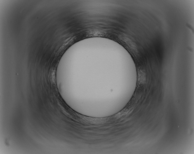 X0000092110036200709121138