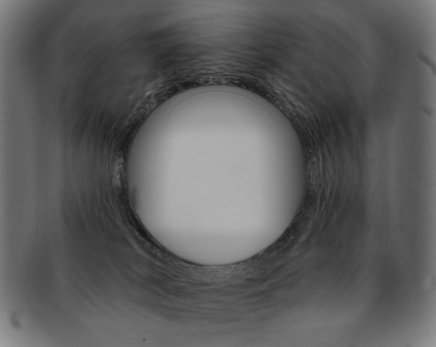 X0000092110038200709121138