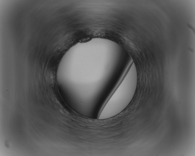 X0000092110039200709121138
