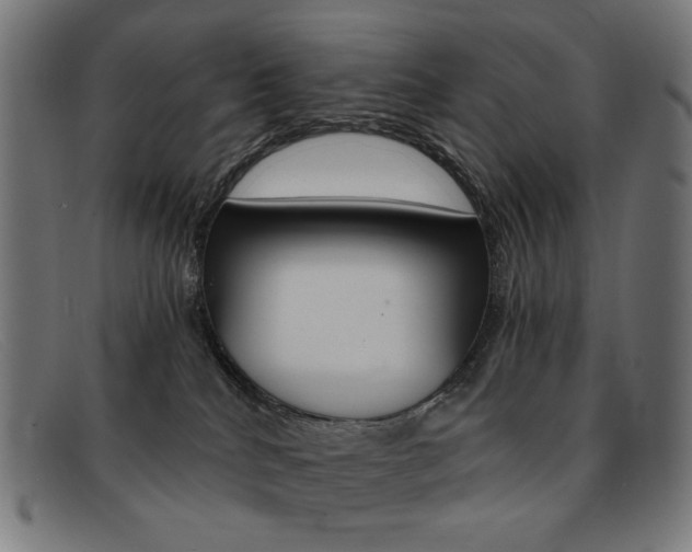 X0000092110040200709121138