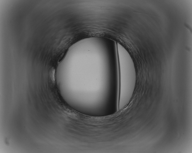 X0000092110041200709121138