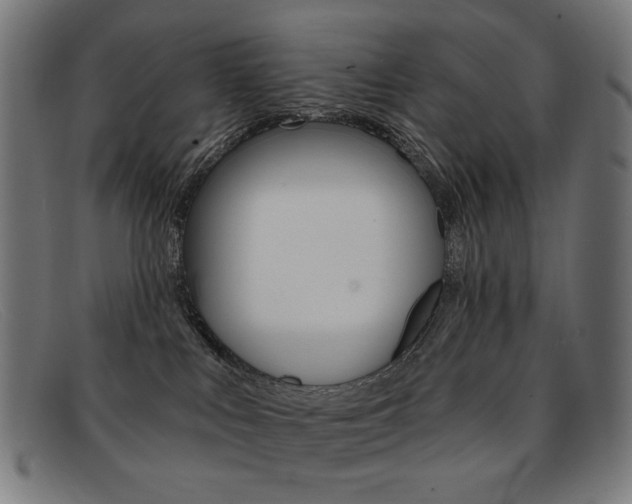 X0000092110043200709121138