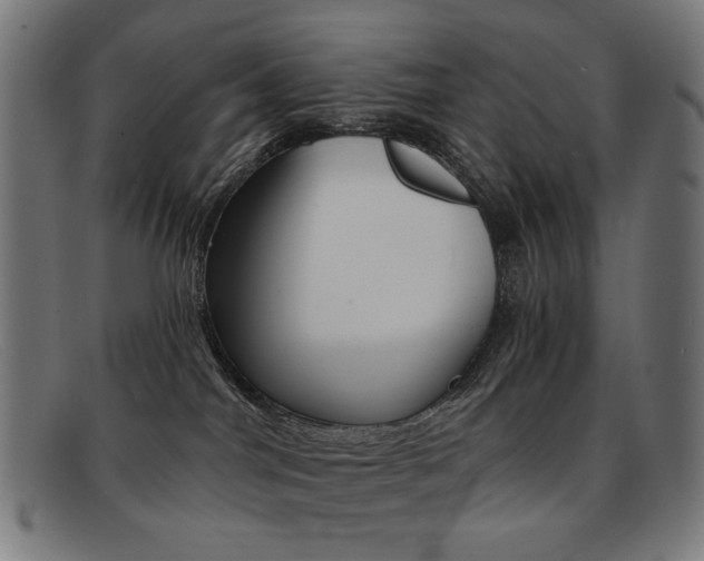 X0000092110044200709121138