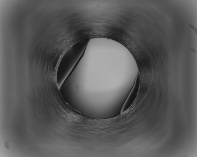 X0000092110045200709121138