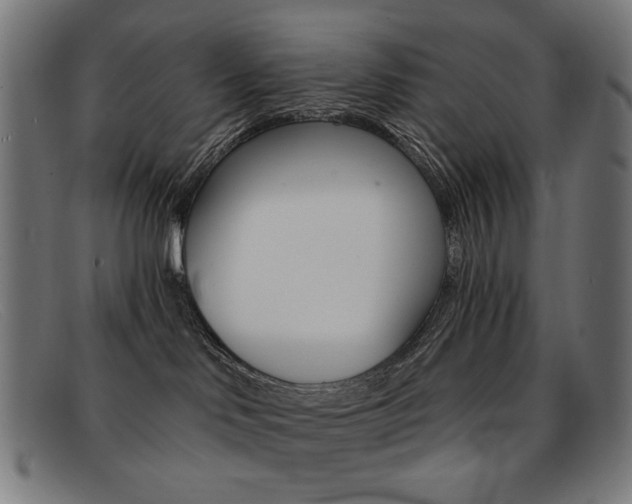 X0000092110046200709121138