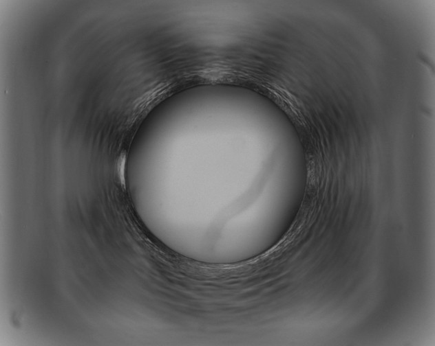 X0000092110047200709121138