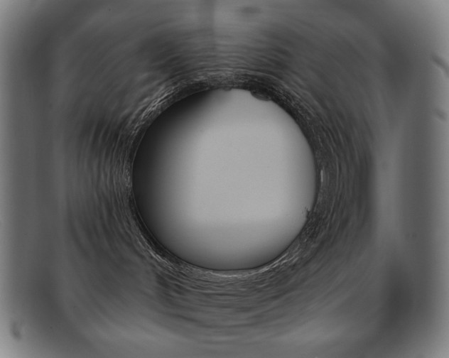 X0000092110048200709121138