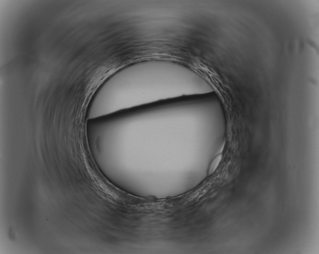X0000092110049200709121137