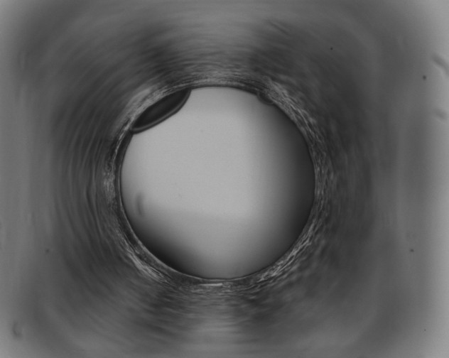 X0000092110050200709121137