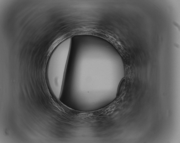 X0000092110051200709121137