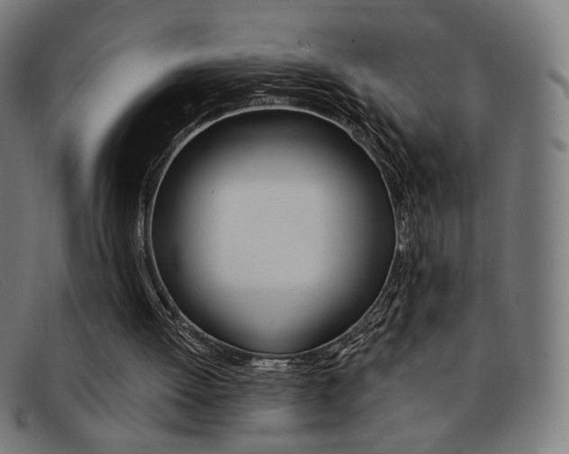 X0000092110052200709121137