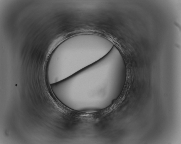 X0000092110053200709121137