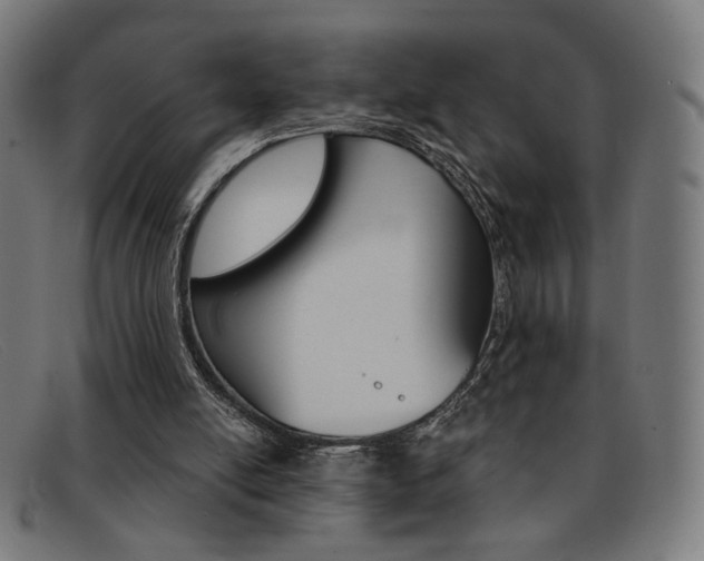 X0000092110054200709121137