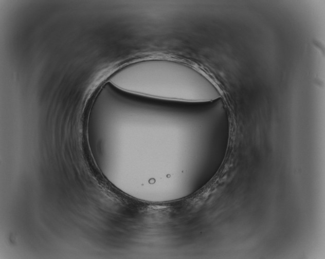 X0000092110055200709121137