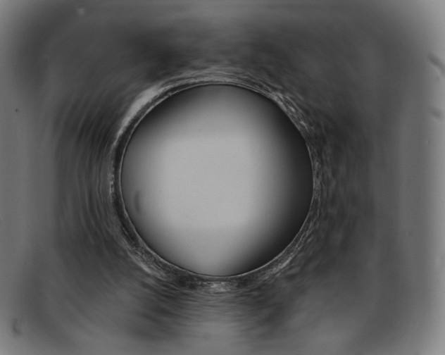 X0000092110056200709121137