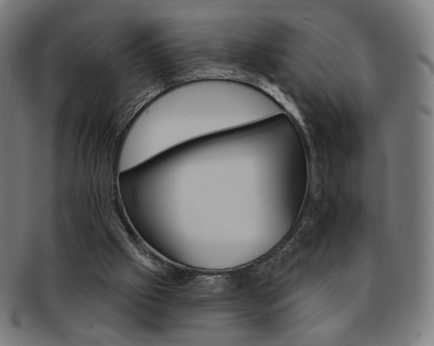 X0000092110057200709121137