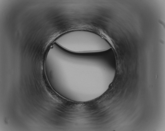 X0000092110059200709121137