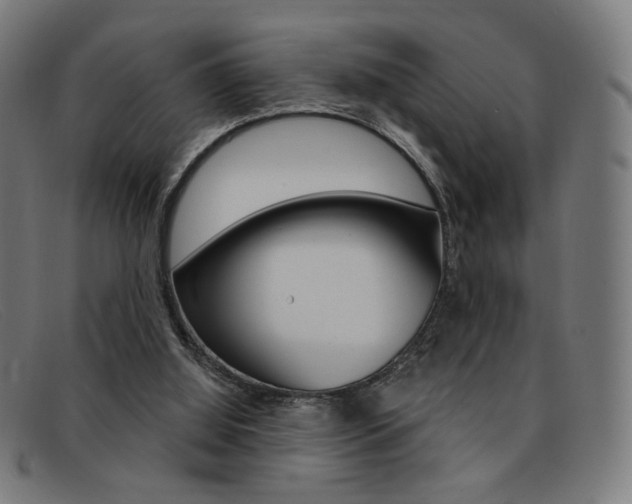 X0000092110060200709121137