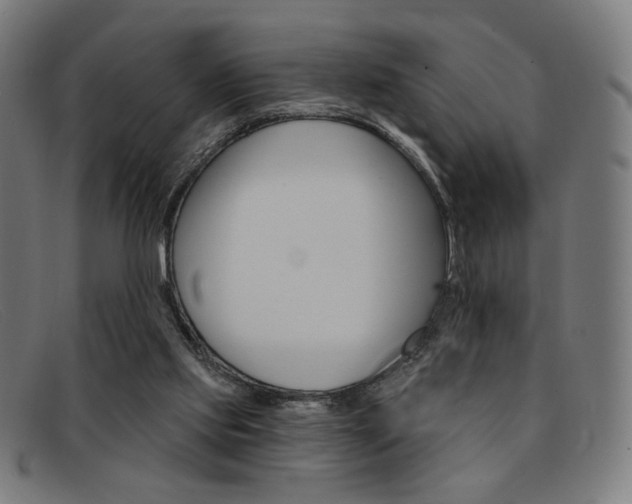 X0000092110061200709121137