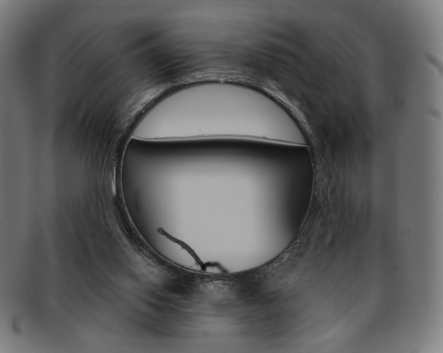 X0000092110062200709121137