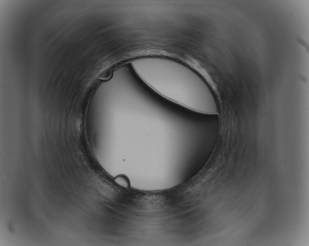 X0000092110063200709121137