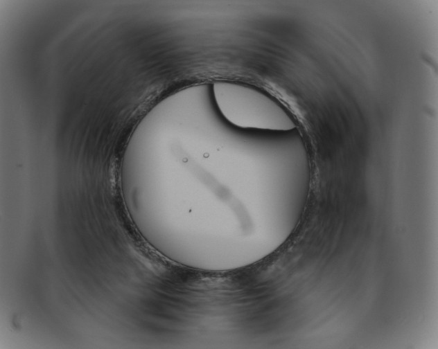 X0000092110065200709121137