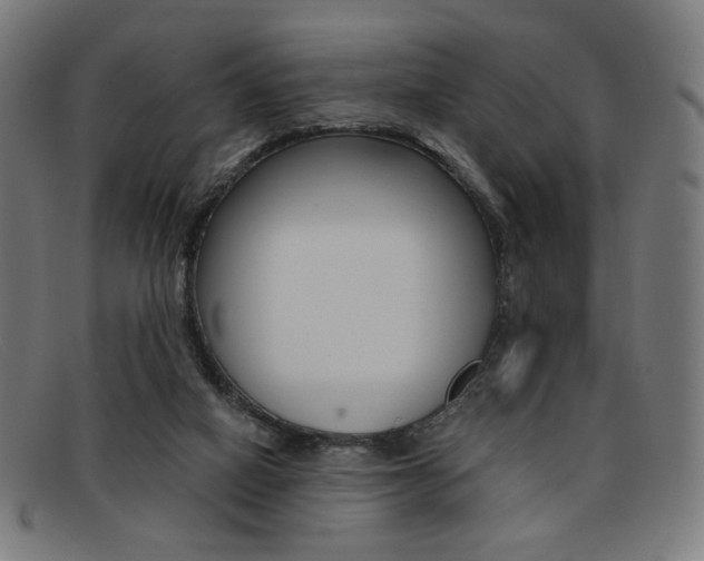 X0000092110066200709121137